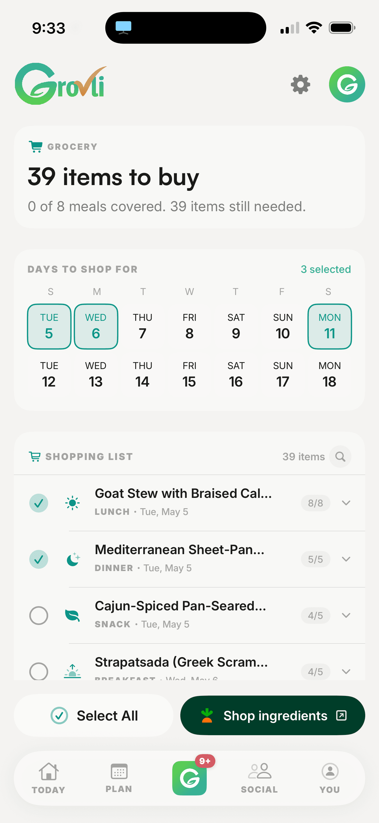 Grocery list zoomed